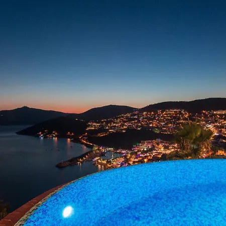 Luxury & Secluded Mediterranean W/ Infinity Pool Willa