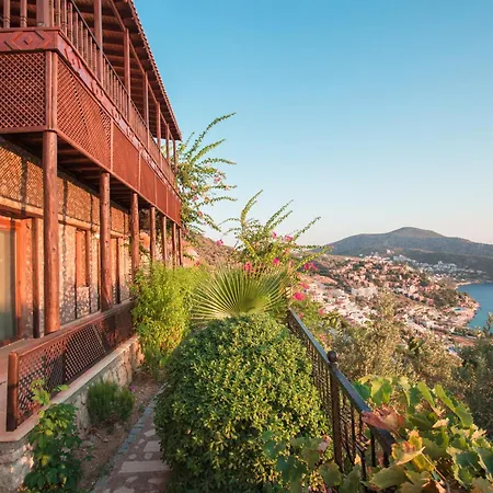 Luxury & Secluded Mediterranean W/ Infinity Pool Willa